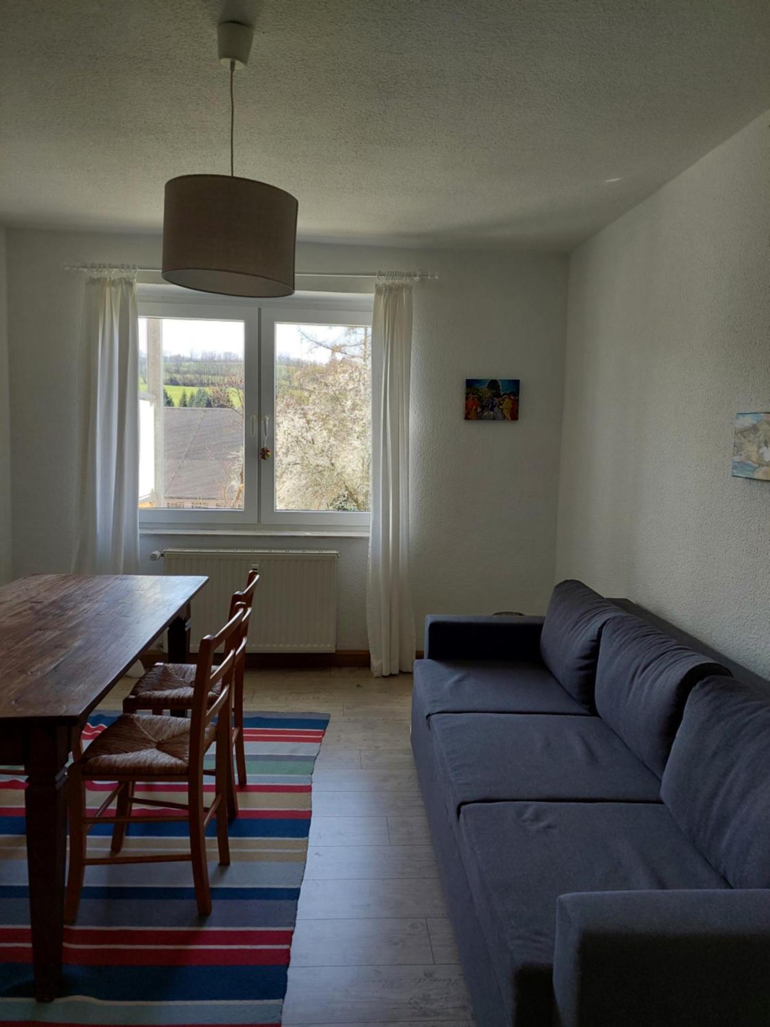 Apartment Blick Auf Sachsenhoehe Altenberg (Erzgebirge)